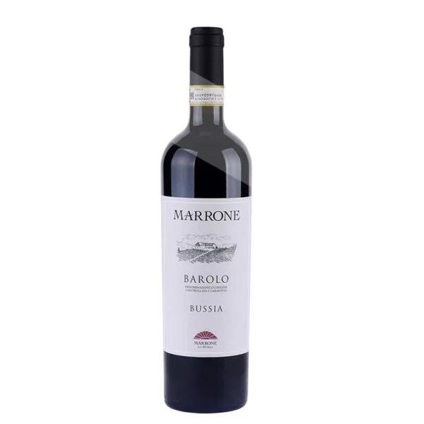 2020 Barolo Bussia DOCG