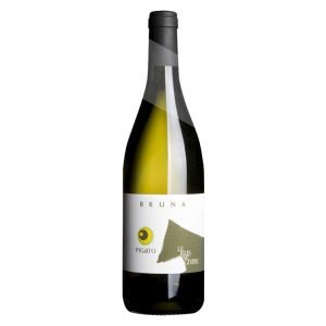 Pigato Russeghine Bruna