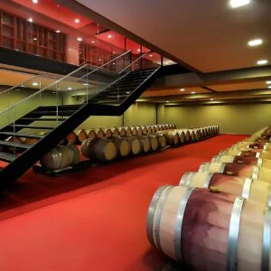 Winzer HAUTNAH Fonzone Extra