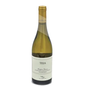 Teia Bolgheri Bianco DOC